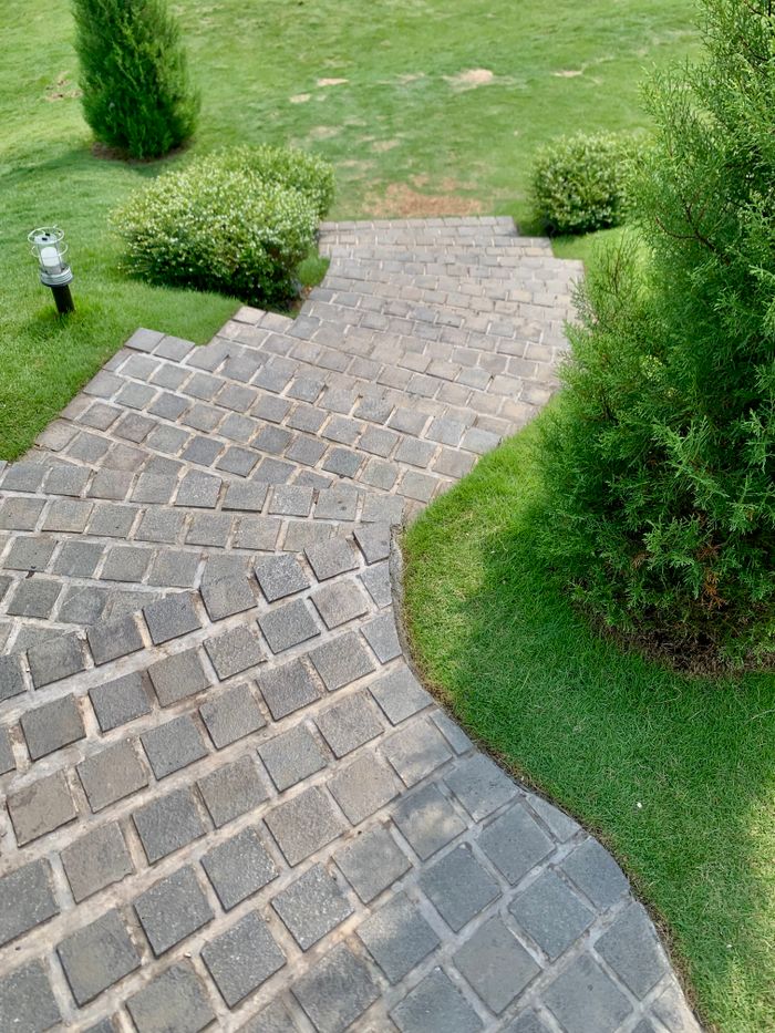 who-we-are Charming brick footpath surrounded by green foliage. Perfect for serene garden settings.
