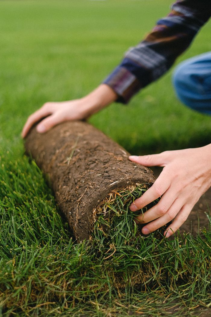 Mastering the First Impression: Your intriguing post title goes here Unrecognizable male farmer rolling new sod grass onto ground while working on grassy agricultural plantation in countryside on blurred background